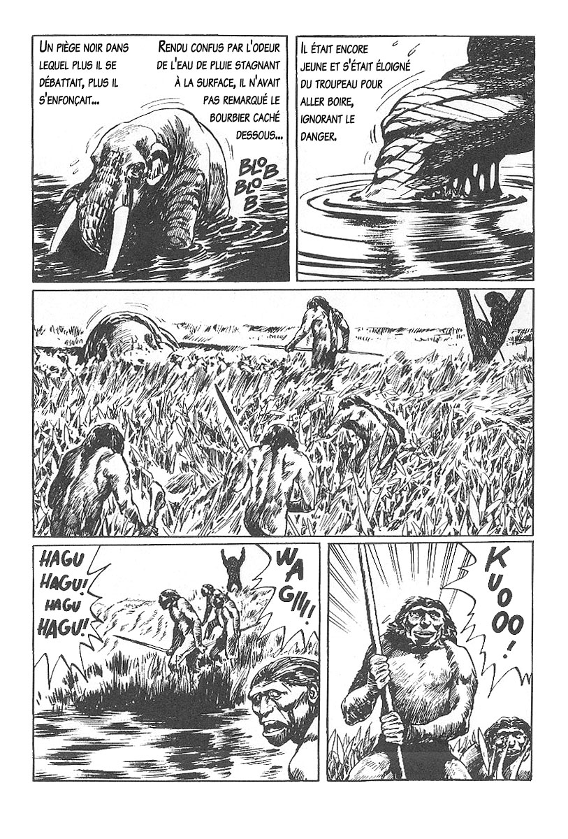 img Sabel Tiger 4